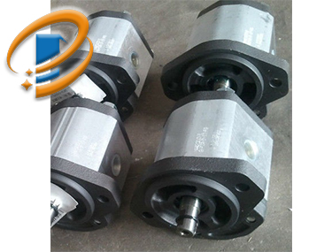 MARZOCCH 齿轮泵 ALP2A-D-40-FG