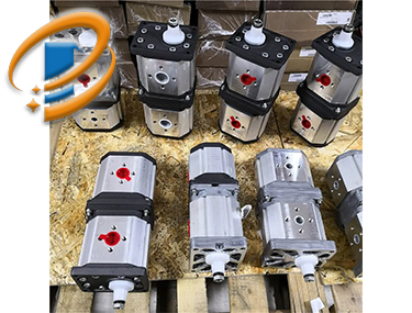 MARZOCCH 齿轮泵 GHP2-D-37